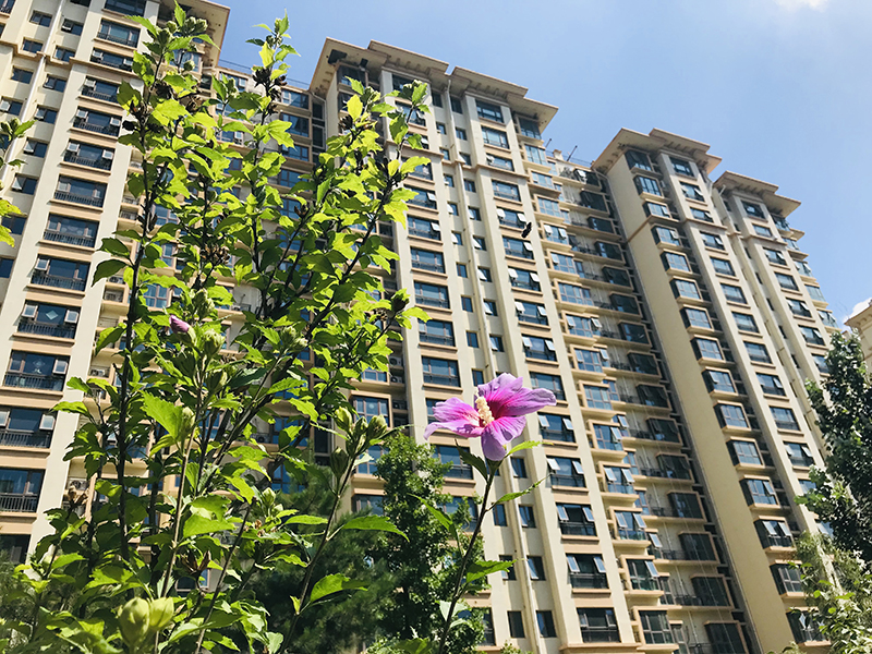 香河逸景6.jpg